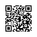 161871177 Needle-jet, Napd (option)