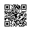 161871200 Needle-jet, Nage
