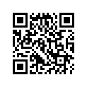 16531-896-000 SLIDER,GOVERNOR