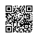1691-043 SHIM, M12X20X1.0