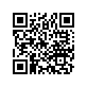 16958-397-771 O-RING(9.0X1.3)