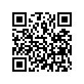 16979-ZV5-901 O-RING