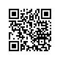 16993-011-000 PLACKING