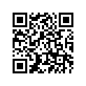 16G-24518-00-00 . Washer, Wave