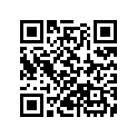 17202-ZV0-000 SSBY-11-17202-ZW6-300-COLLAR,DISTANCE