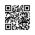 17210-310-000 ELEMENT, R. A/CLNR