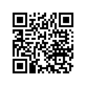 17211-463-000 ELEMENT A/CLEANER