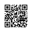 17218-888-003 SSBY-11-17218-ZE6-505-FILTER(OUTER)