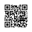 17243-MCL-000 Stay, Sub A/clnr