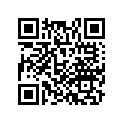 17247-MCF-000 RUBBER,R SIDE