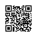 17248-MCF-000 RUBBER,L SIDE