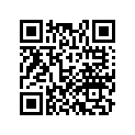 17251-MKG-A00 TUBE, R. CONNECTING