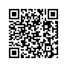 17253-KT8-000 Фильтр воздушный