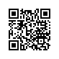 17255-HS0-A00 FILTER, SUB A/CLNR
