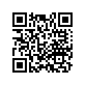 17411-KZZ-900 RUBBER