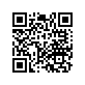 17451-MG2-880 Rubber