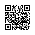 17506-KZZ-900 Cushion