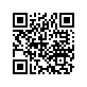 17509-398-960 Втулка