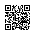17516-HN8-A60 RUBBER,HEAT PROTE
