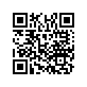 17532-Z0L-000 RUBBERA
