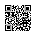 17611-MFY-A00 CUSHION, FR.