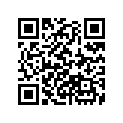17704-ZW9-660 BAND(11MM)