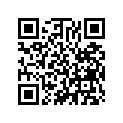17916-958-000 Guide