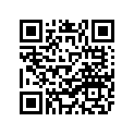 17D-83912-01-00 LEVER 1