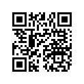 1800050 3/8 AN WASHER (10)