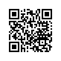 18625-MW0-750 Bracket