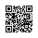 19051-KGB-610 RUBBER