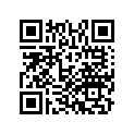 19051-MGS-D30 RUBBER