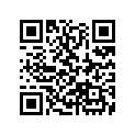 19051-MS8-000 RUBBER
