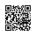 19132-MBB-D40 STAY, L.