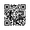 1B2-21778-00-00 . .Damper, Locating 1