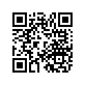 1B9-W0045-00-00 Колодки Тормозные (К-т 2 шт.)
