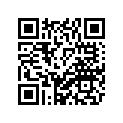 1C0-H2511-19-00 Blank Key