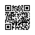 1C6-E7466-00-00 GUIDE, CHAIN