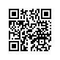 1D7-11631-00-00 Поршень