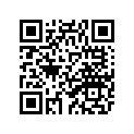 1FK-11656-00-00 Вкладыш Шатунный