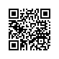 1FK-11656-50-00 Вкладыш Шатунный