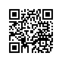 1FK-25828-00-00 Кольцо Стопорное