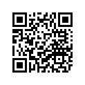 1HX-12169-31-00 PAD, ADJUSTING 2 (1.95)