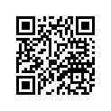 1HX-12169-J0-00 PAD, ADJUSTING 2 (2.25)