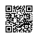 1KH-11631-01-C0 Поршень
