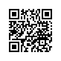 1L9-13440-91-00 エレメントアセンブリ,オイルクリ-ナ-