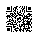 1M1-21621-00-00 Flap