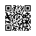 1M7-11651-00-00 ROD,CONNECTING