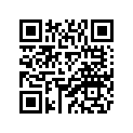 1P6-E6330-00-00 Plate, Friction 2