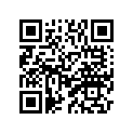 1P8-11631-00-D0 Поршень